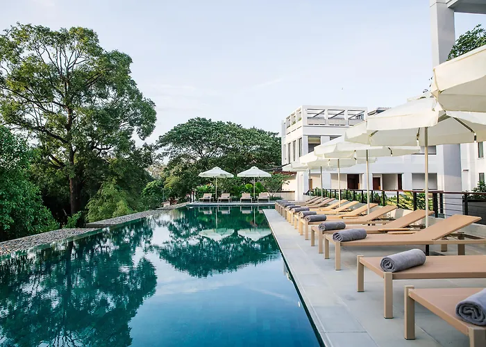 Treeline Urban Resort