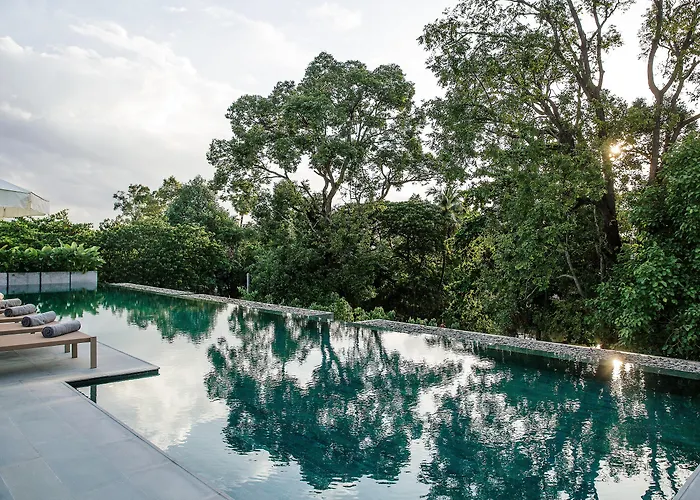 Treeline Urban Resort