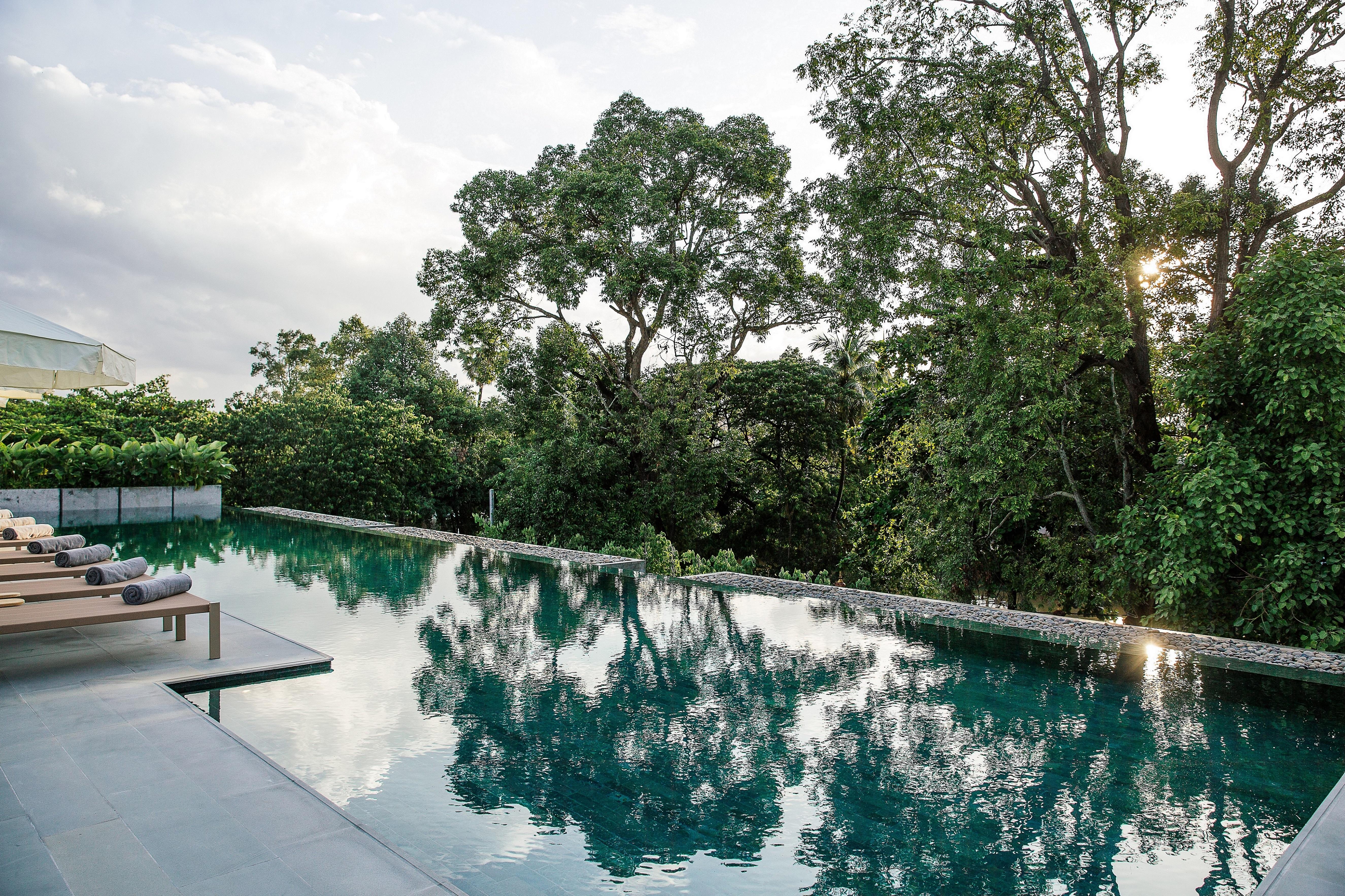 Hotel Treeline Urban