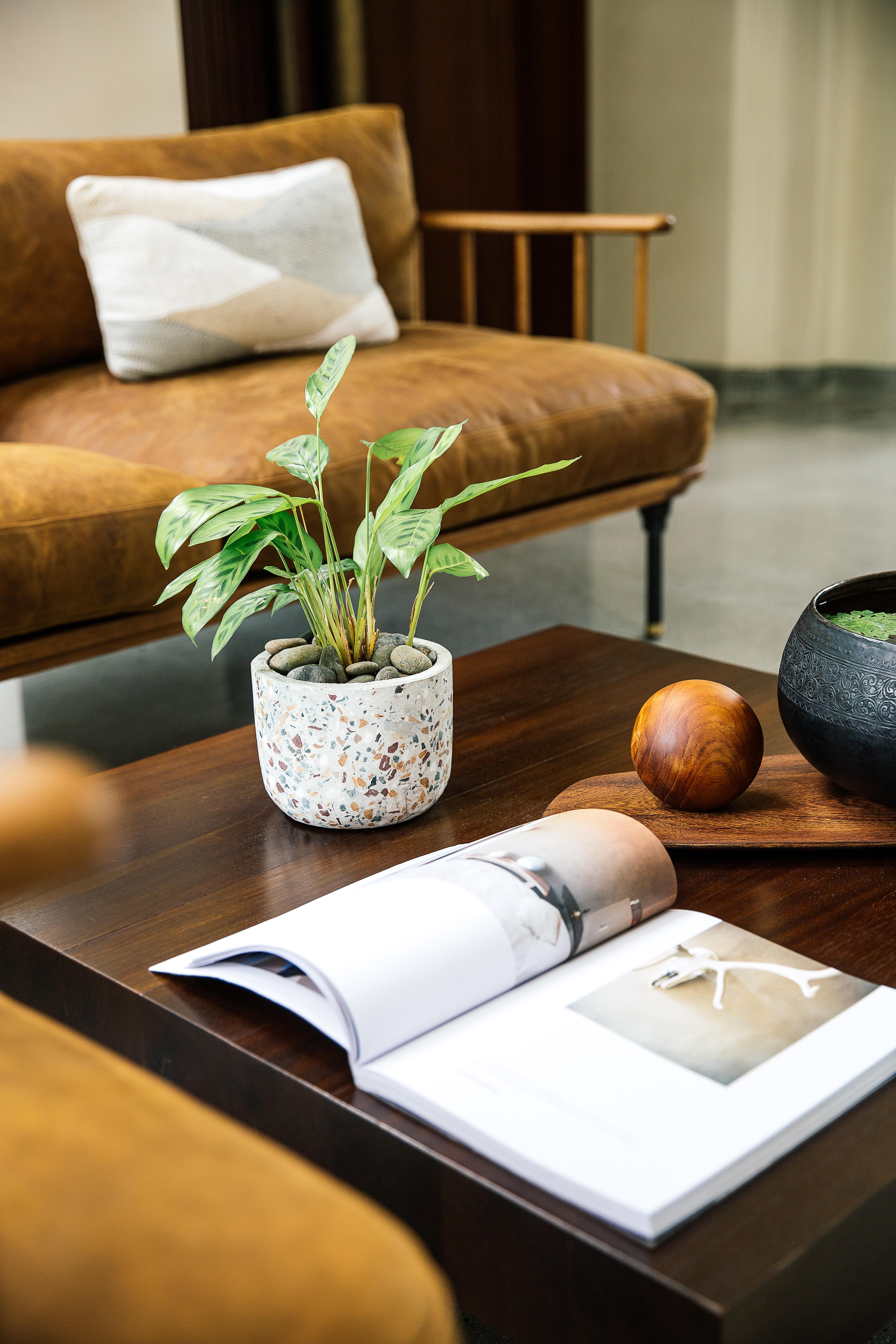 Treeline Urban Hotel Siem Reap