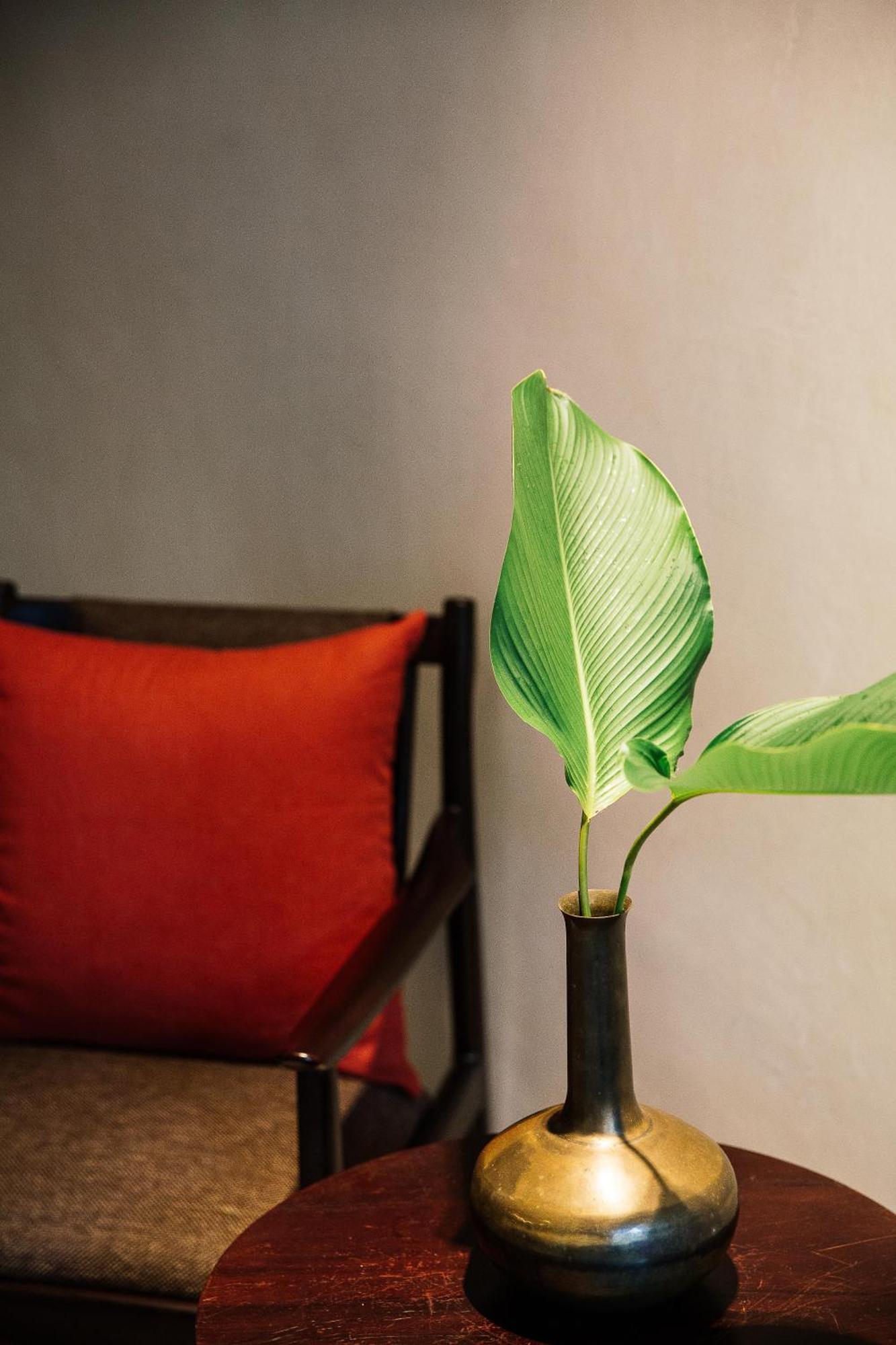Treeline Urban 5* Siem Reap