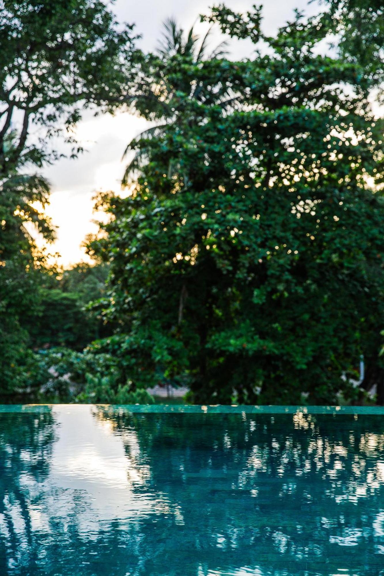 Hotel Treeline Urban 5*