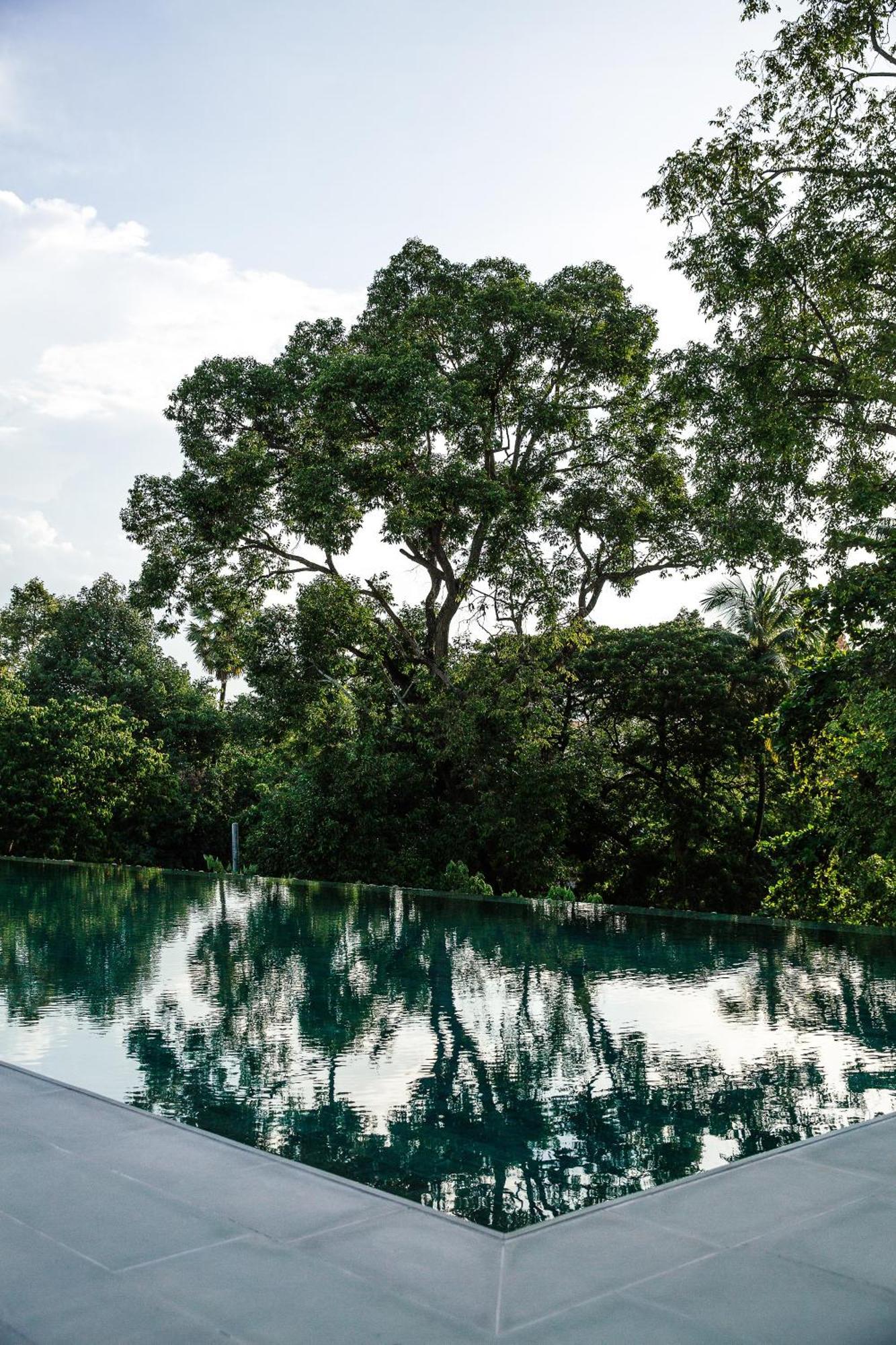 Hotel Treeline Urban Siem Reap